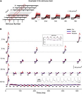 Nicotine Enhances Amplitude and Consistency of Timing of Responses to Acoustic Trains in A1